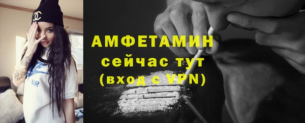 прущие грибы Медвежьегорск