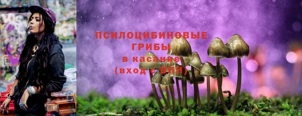 индика Медногорск