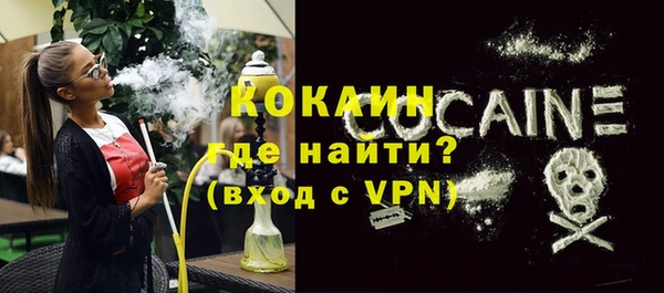 индика Медногорск