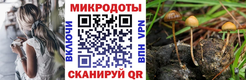 Псилоцибиновые грибы Psilocybe  наркотики  ссылка на мегу как войти  Льгов 